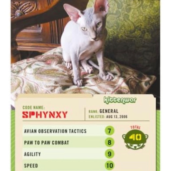 Kittenwar The Card Game : May The Cutest Kitten Win - Picture 3 of 3